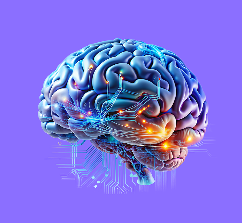 Cerveau et Neurosciences